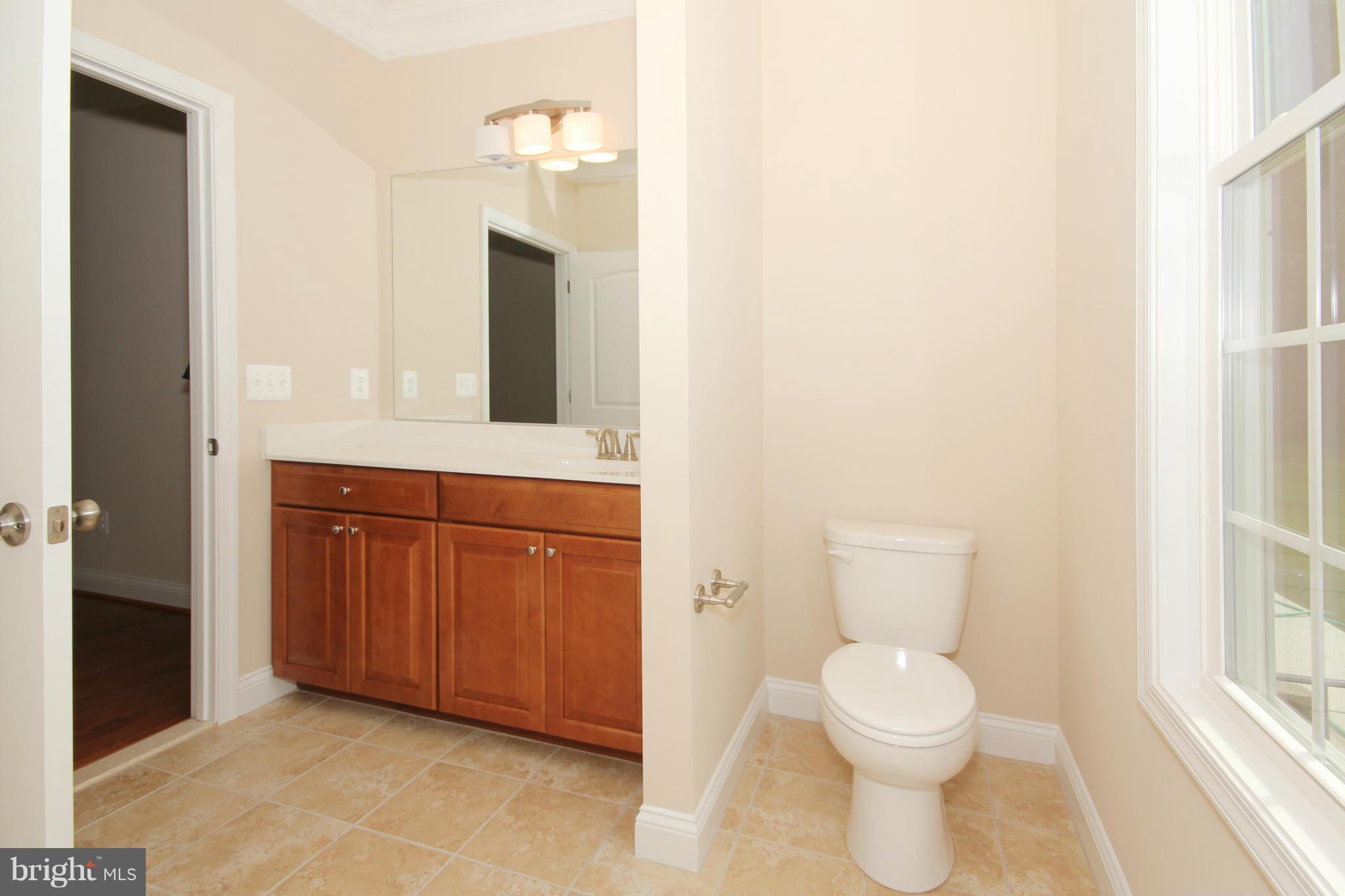 9421 Rogues Road Midland, VA 22728 - Photo 16 of 30 ML Master Bath - Vanity