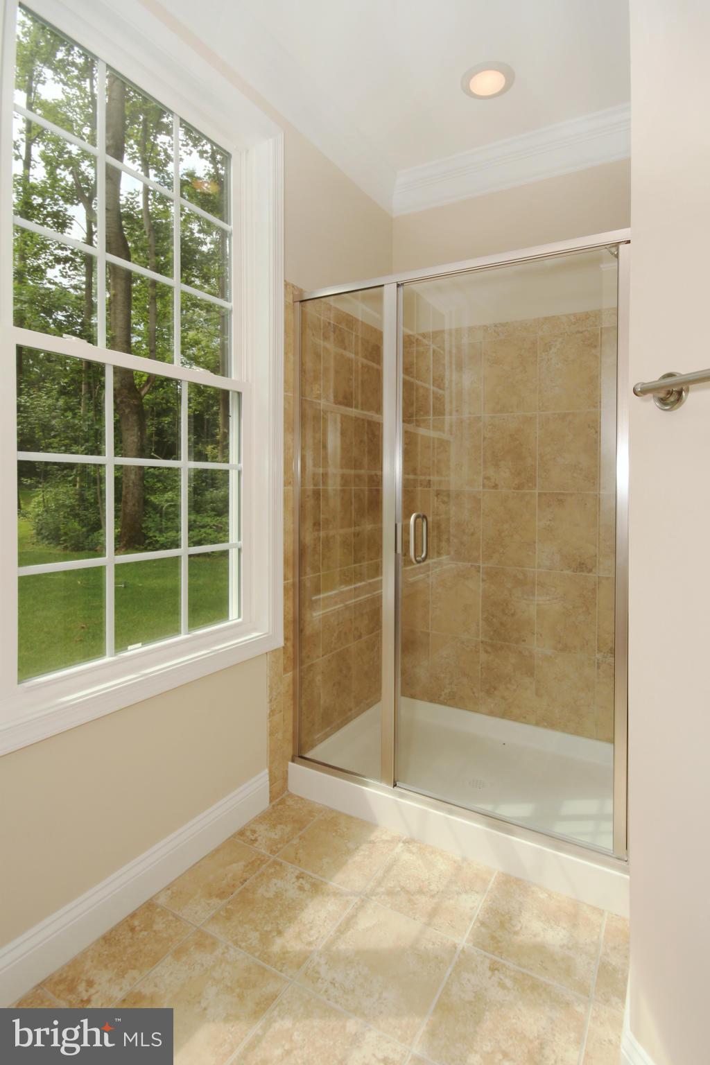 9421 Rogues Road Midland, VA 22728 - Photo 17 of 30 ML Master Bath - Shower