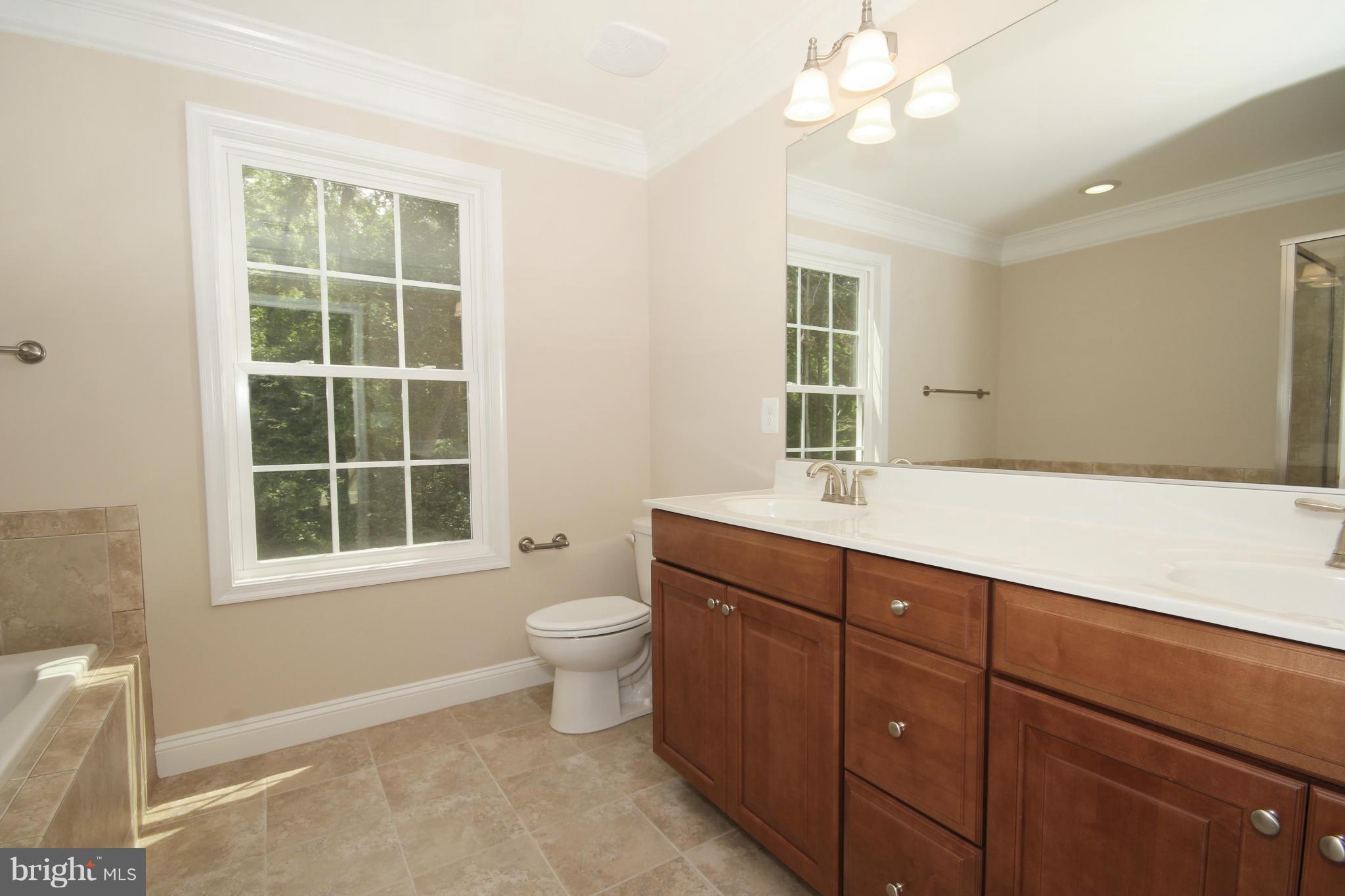 9421 Rogues Road Midland, VA 22728 - Photo 20 of 30 UL Master Bath