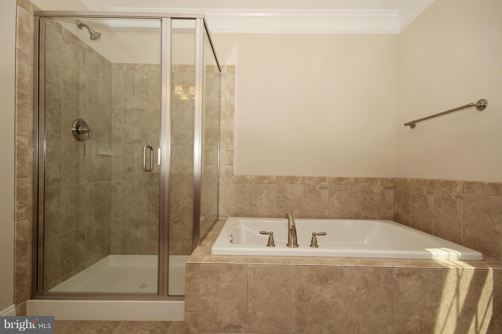 9421 Rogues Road Midland, VA 22728 - Photo 21 of 30 UL Master Bath