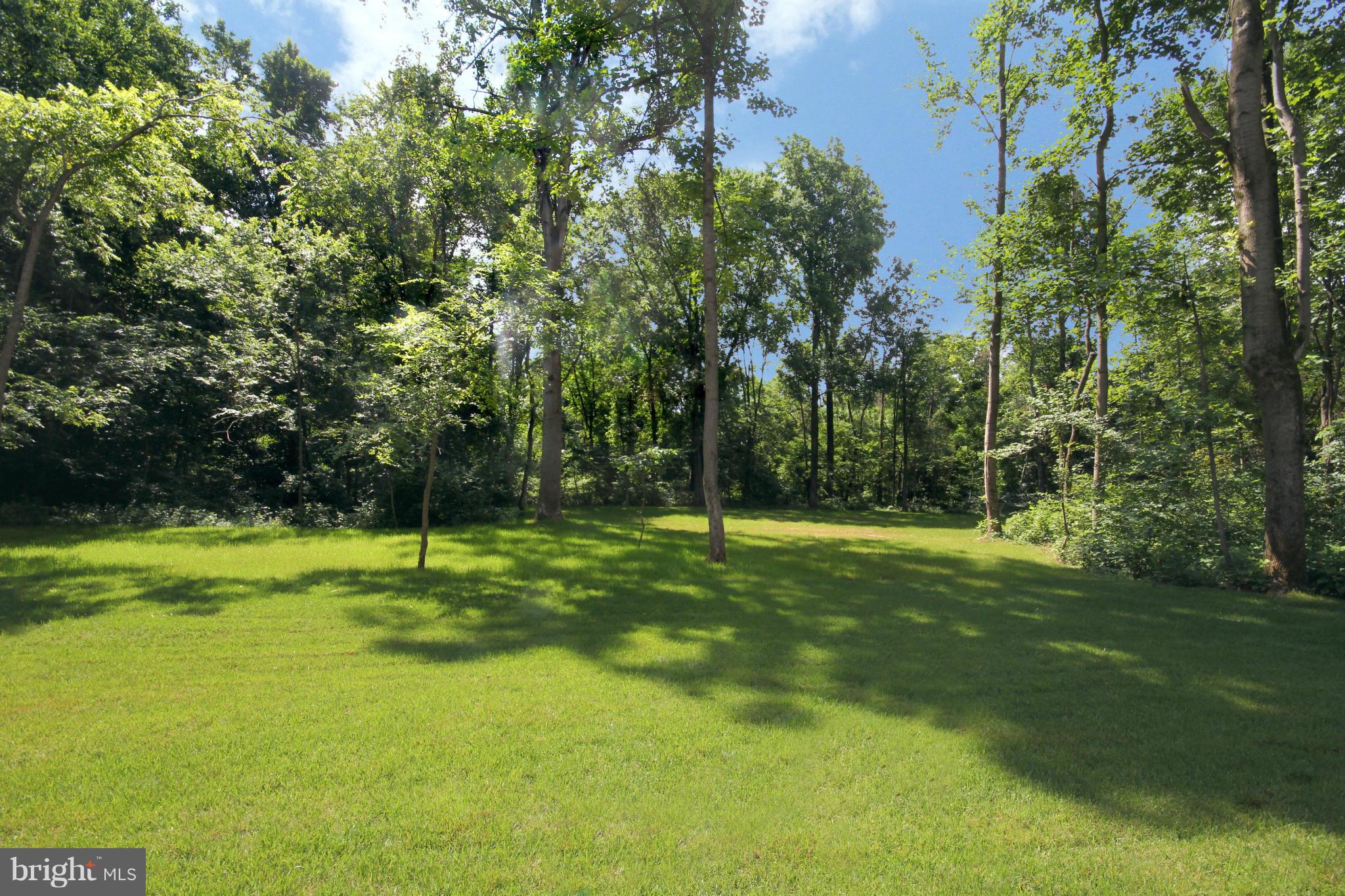 9421 Rogues Road Midland, VA 22728 - Photo 30 of 30 Backyard