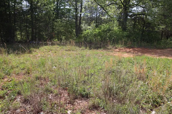 a view of backyard with green space