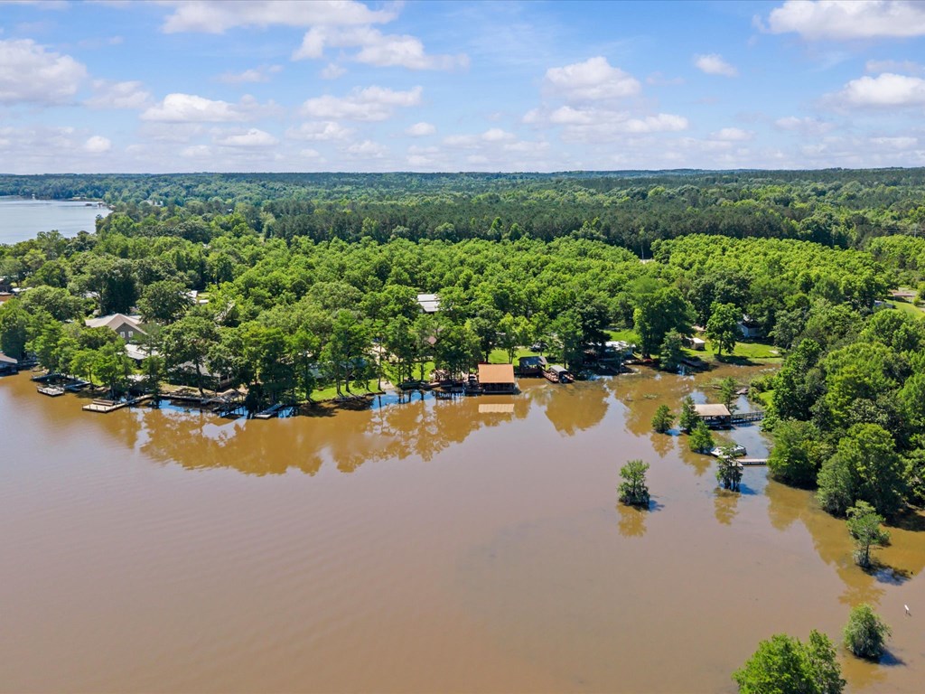 16984 Sims Road Dozier, AL 36028 - Photo 5 of 58