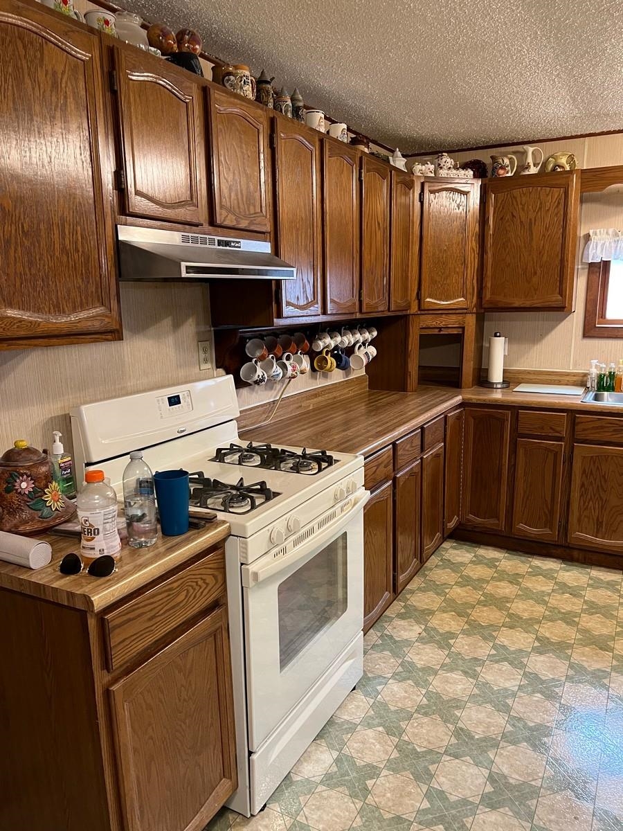11525 Cinder Road Beulah, MI 49617 - Photo 5 of 17