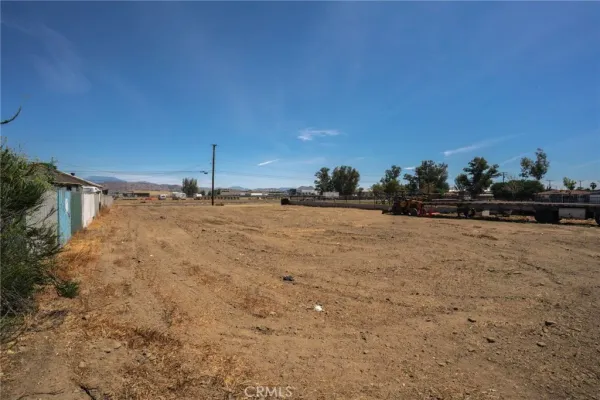 a view of a dry yard with trees