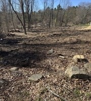 a view of outdoor space with trees