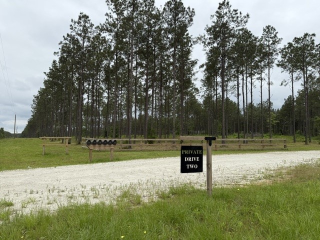 0 Richardson Road East Livingston, TX 77351 - Photo 4 of 6 a view of a park with large trees