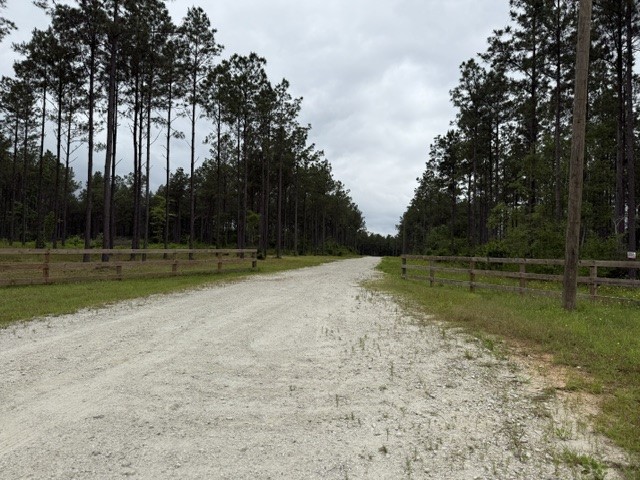 0 Richardson Road East Livingston, TX 77351 - Photo 5 of 6 a view of a swimming pool with a yard