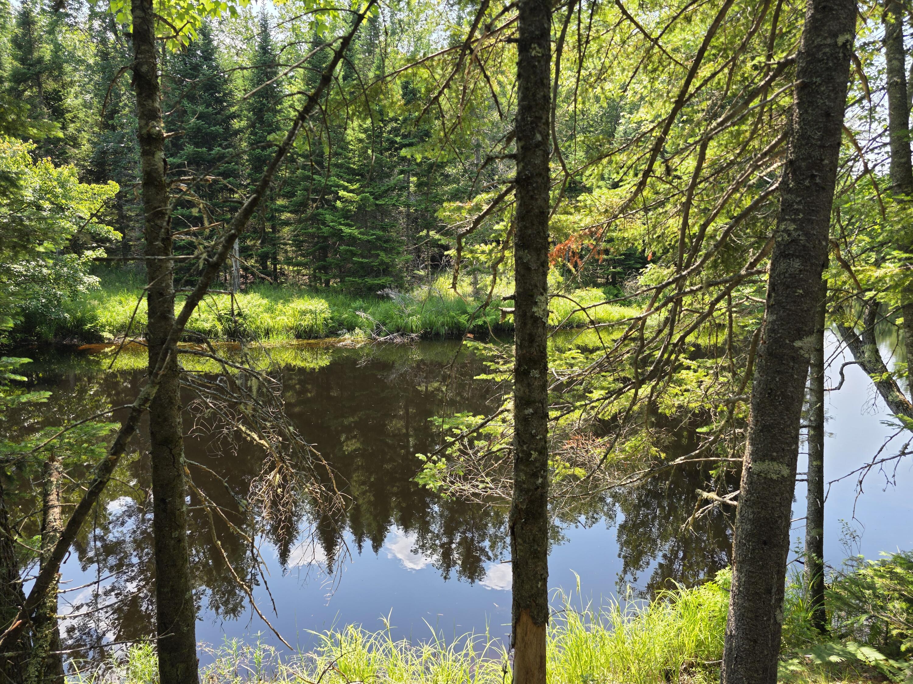 0 Brown Road Searsmont, ME 04973 - Photo 12 of 14 1000033540