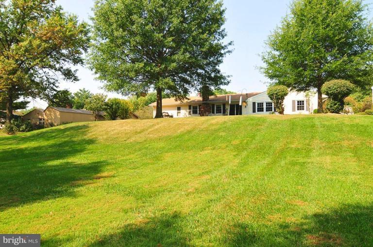 Back yard