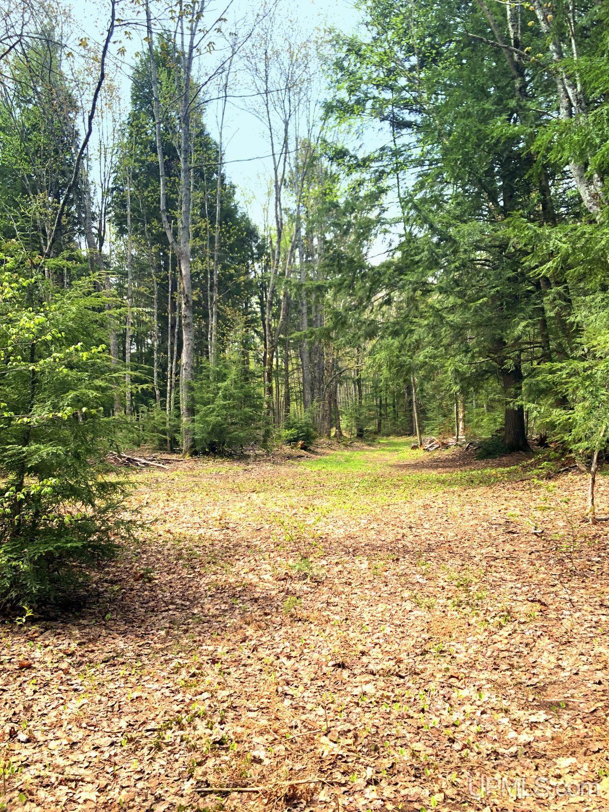 Tbd Tbd Northwestern/camp Road Ishpeming, MI 49849 - Photo 8 of 63