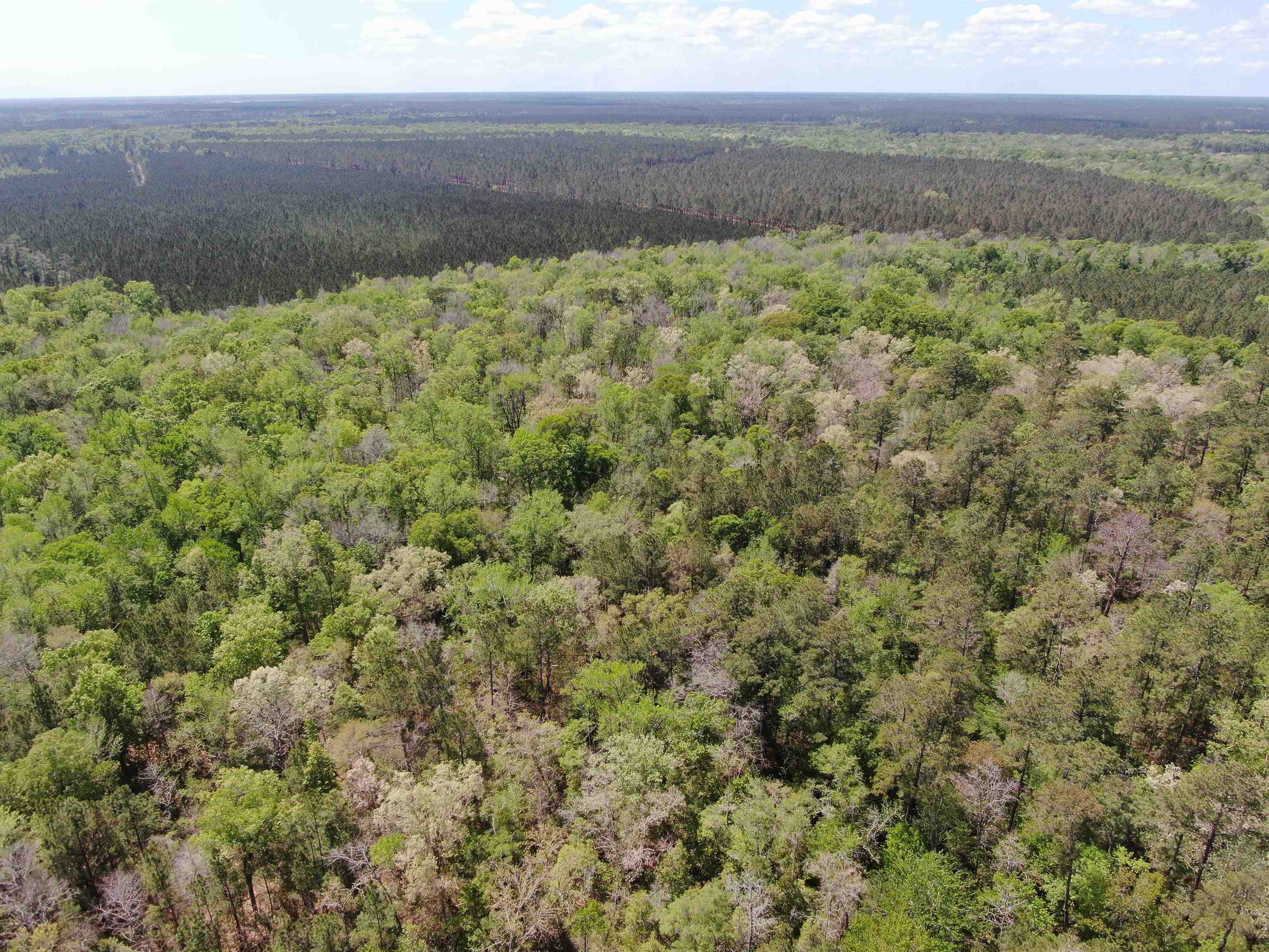 Tbd Georgetown Highway Andrews, SC 29510 - Photo 12 of 15