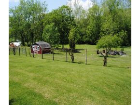 1754 Vance Tank Road Bristol, TN 37620 - Photo 9 of 13 Grape vines