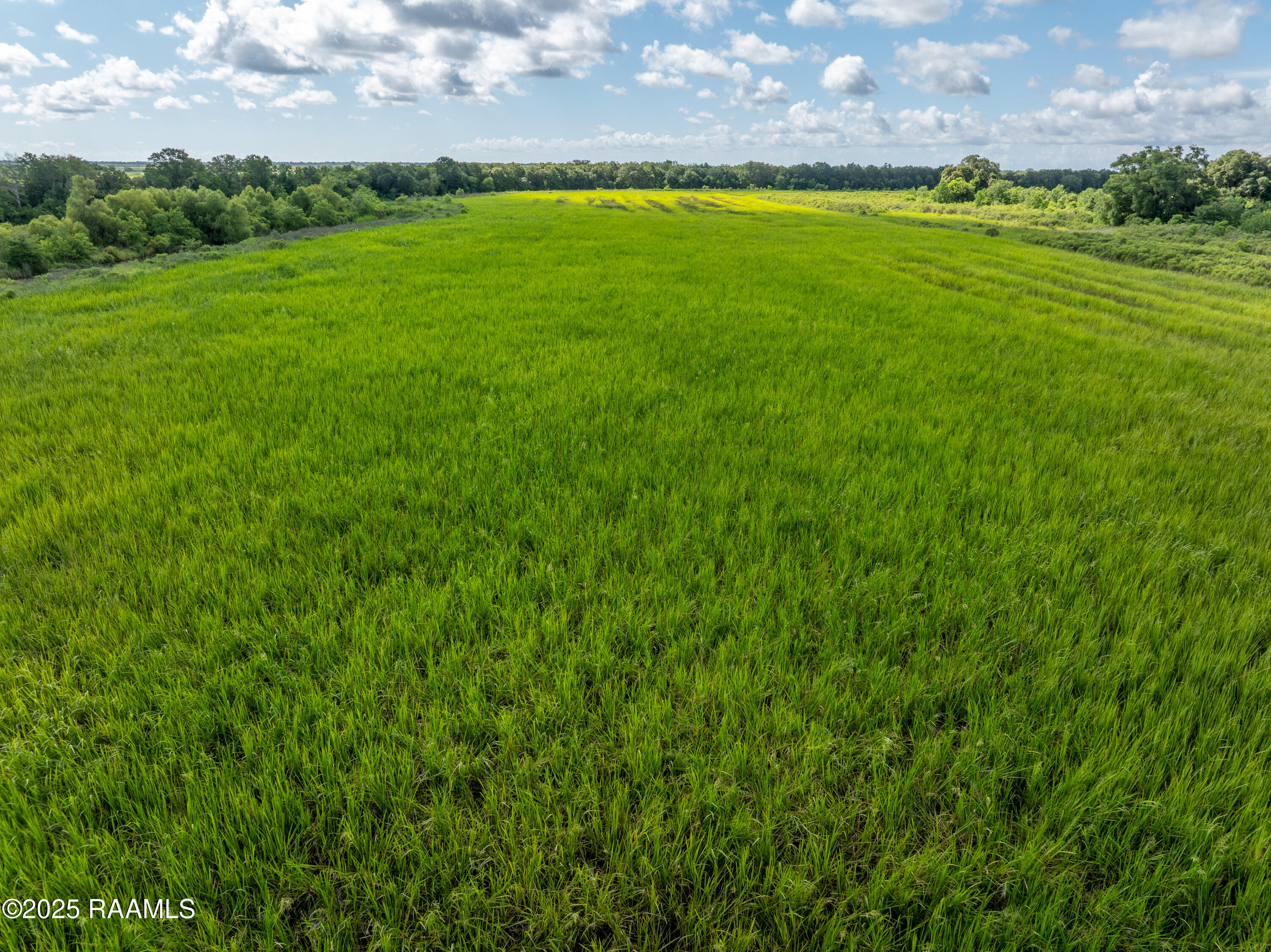 21737 Keno Road Abbeville, LA 70510 - Photo 28 of 60 ForkedIslandAerials-13
