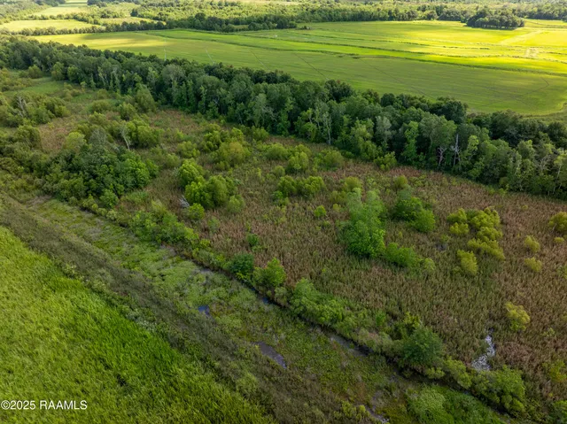 $4,500,000 | 21737 Keno Road, Abbeville, LA 70510