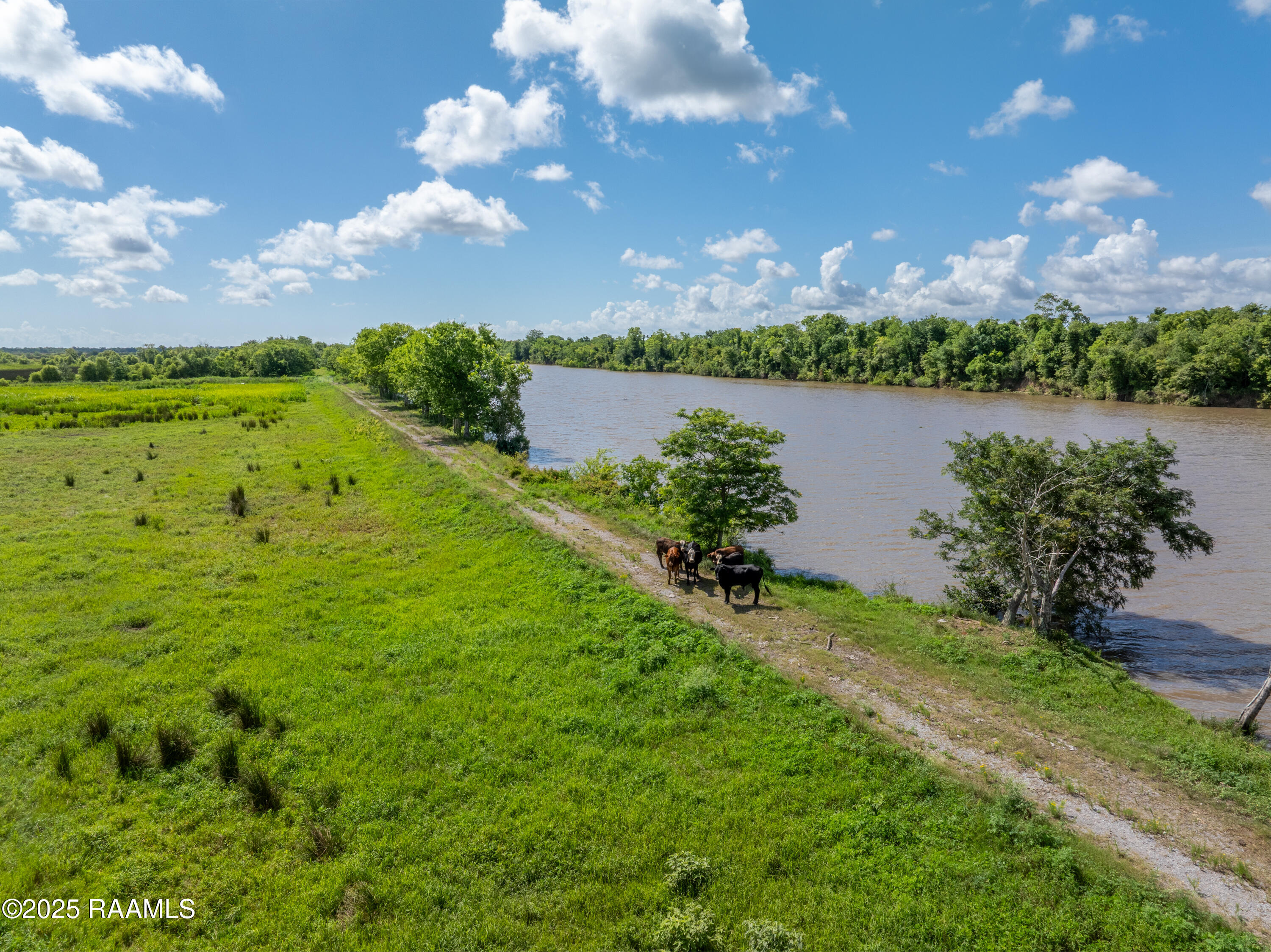 21737 Keno Road Abbeville, LA 70510 - Photo 40 of 60 ForkedIslandAerials-27