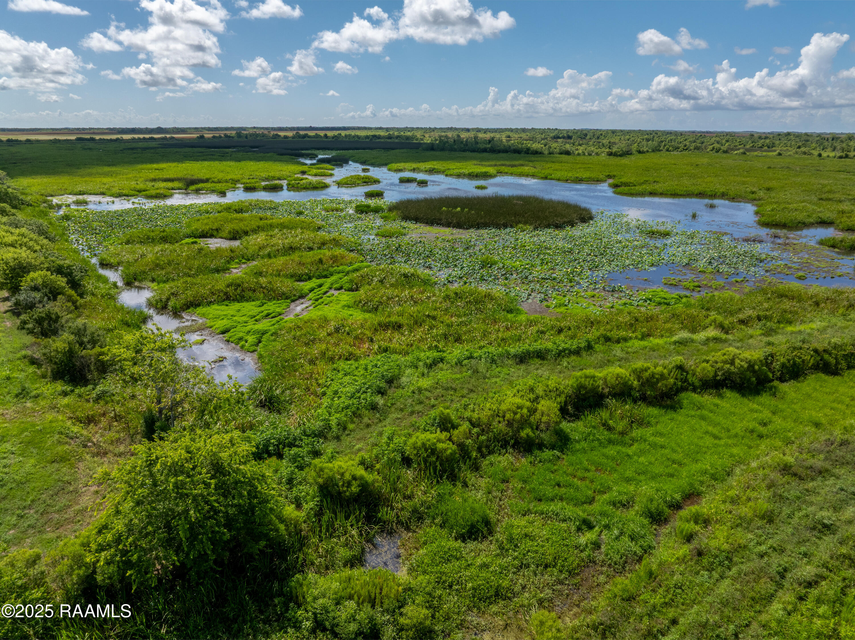 21737 Keno Road Abbeville, LA 70510 - Photo 41 of 60 ForkedIslandAerials-29