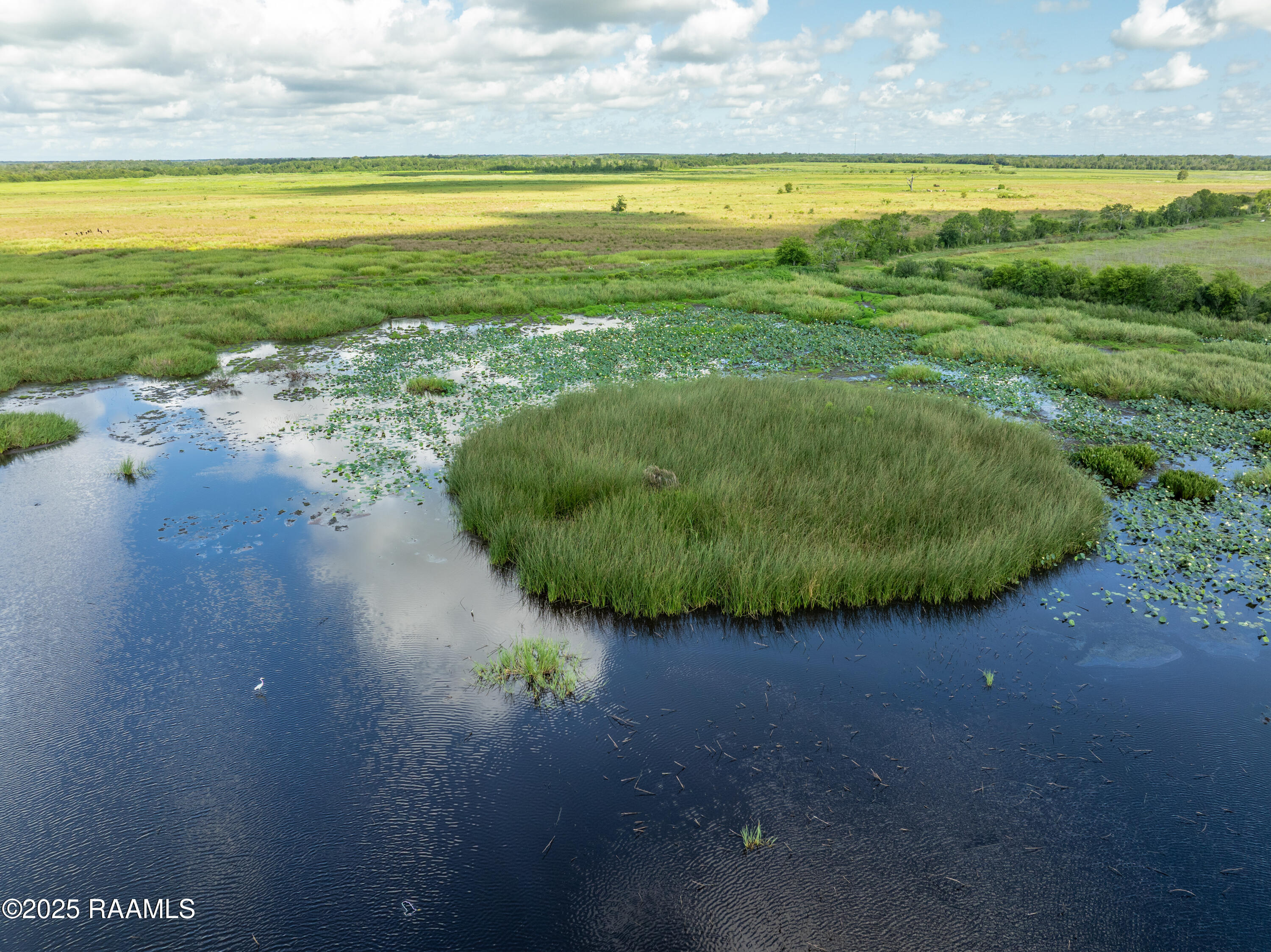 21737 Keno Road Abbeville, LA 70510 - Photo 42 of 60 ForkedIslandAerials-30