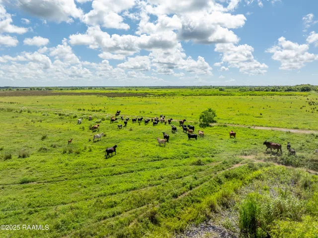 $4,500,000 | 21737 Keno Road, Abbeville, LA 70510