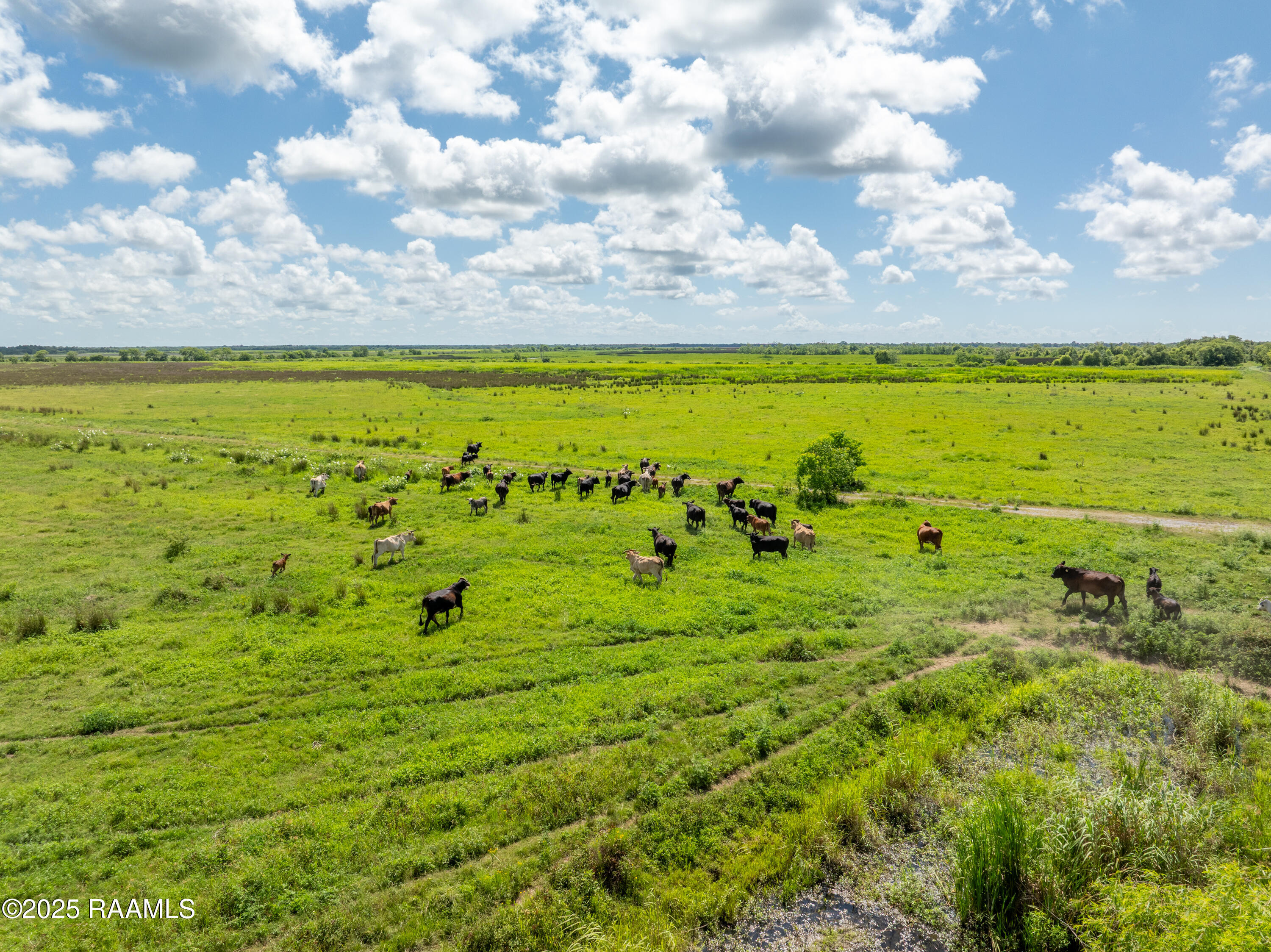 21737 Keno Road Abbeville, LA 70510 - Photo 54 of 60 ForkedIslandAerials-44