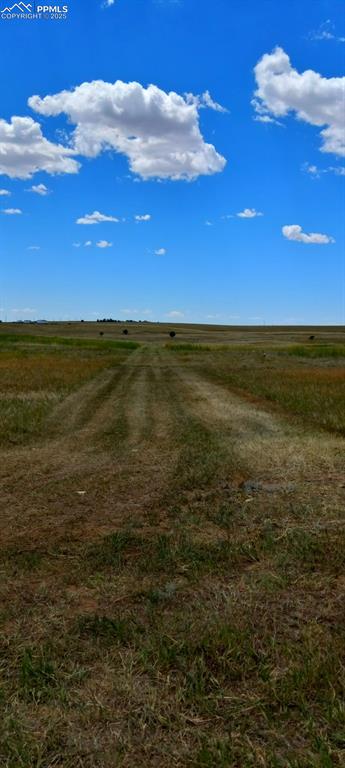 8910 Mulberry Road Calhan, CO 80808 - Photo 2 of 11