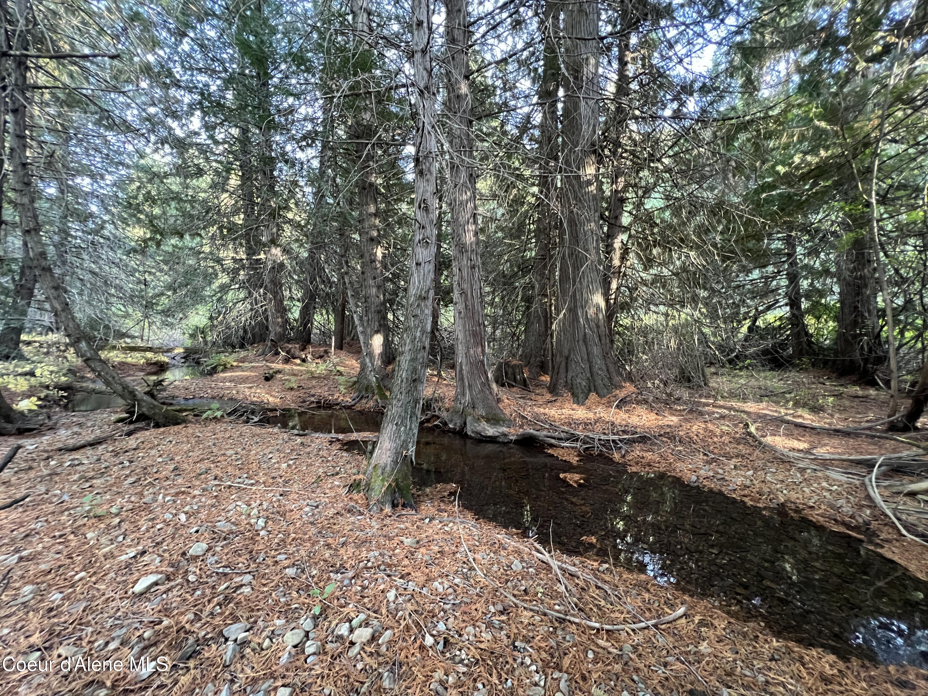 3579 Bear Creek Road Kingston, ID 83839 - Photo 12 of 13 12