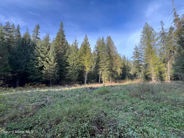 $179,000 | 3579 Bear Creek Road, Kingston, ID 83839