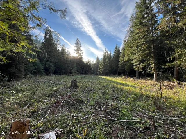 $179,000 | 3579 Bear Creek Road, Kingston, ID 83839