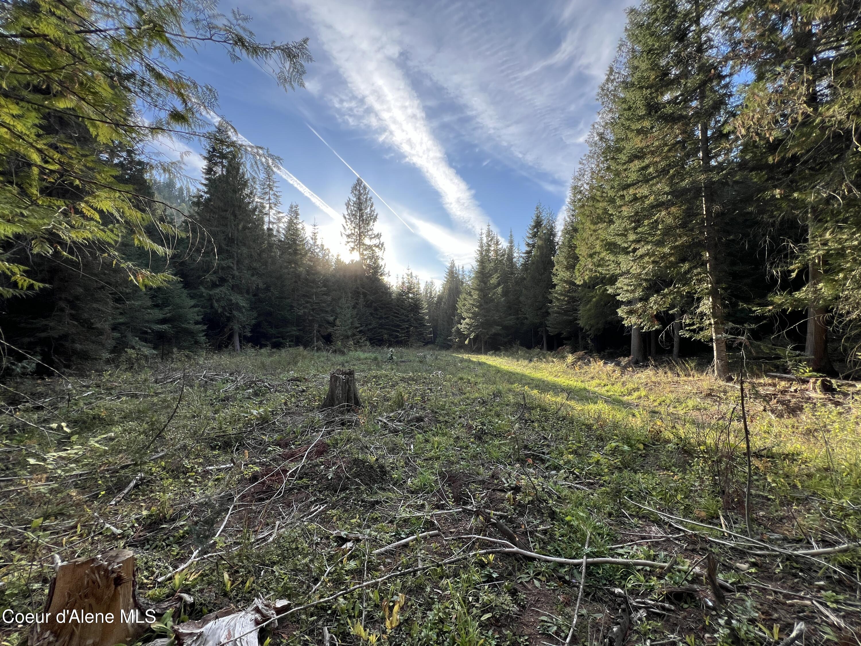 3579 Bear Creek Road Kingston, ID 83839 - Photo 7 of 13 7