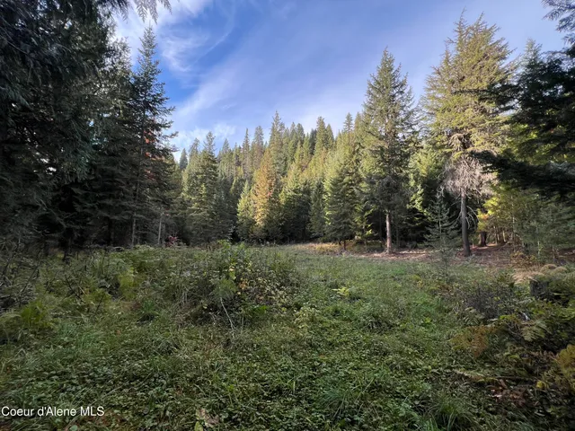 $179,000 | 3579 Bear Creek Road, Kingston, ID 83839