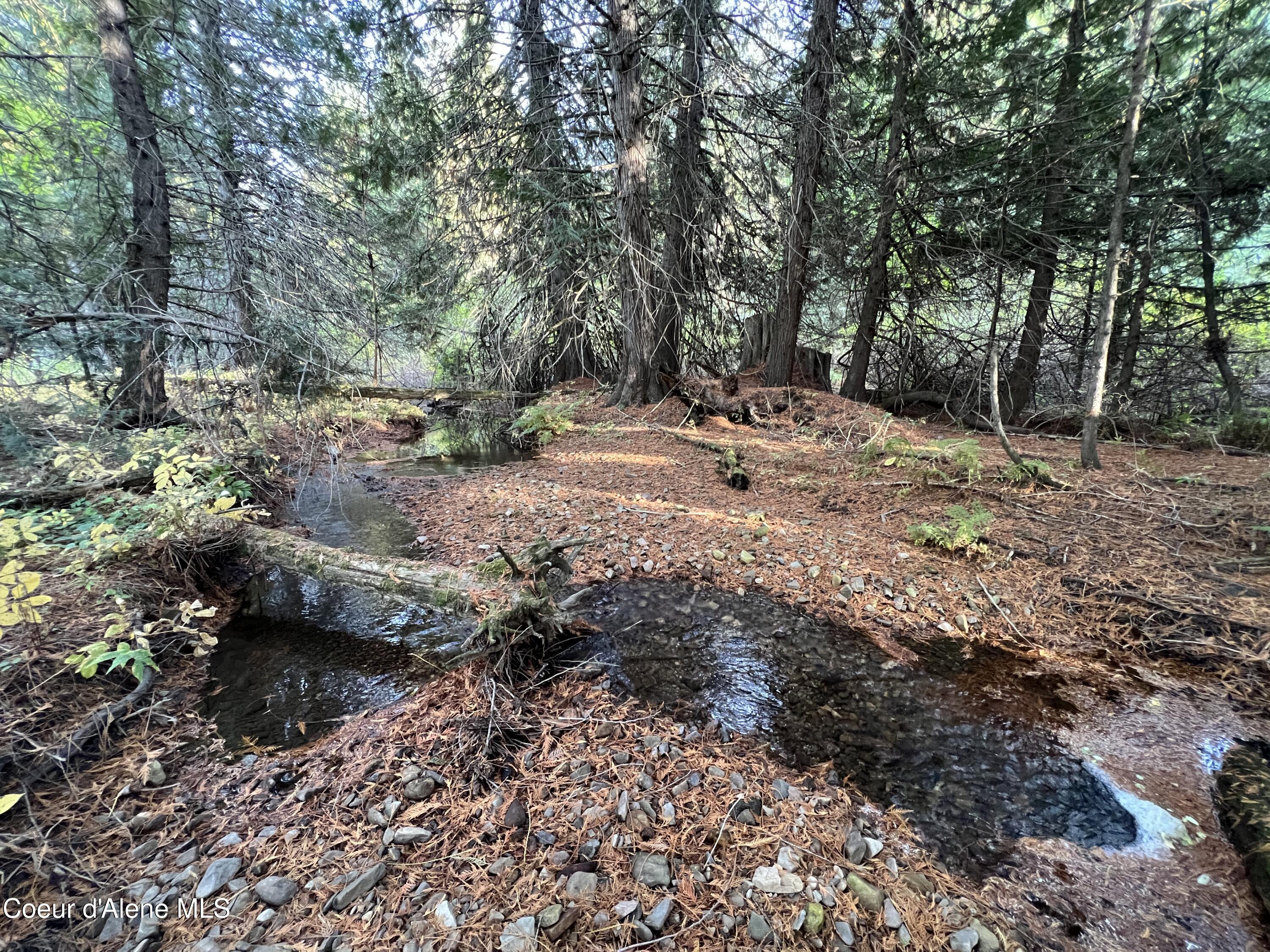 3579 Bear Creek Road Kingston, ID 83839 - Photo 9 of 13 9