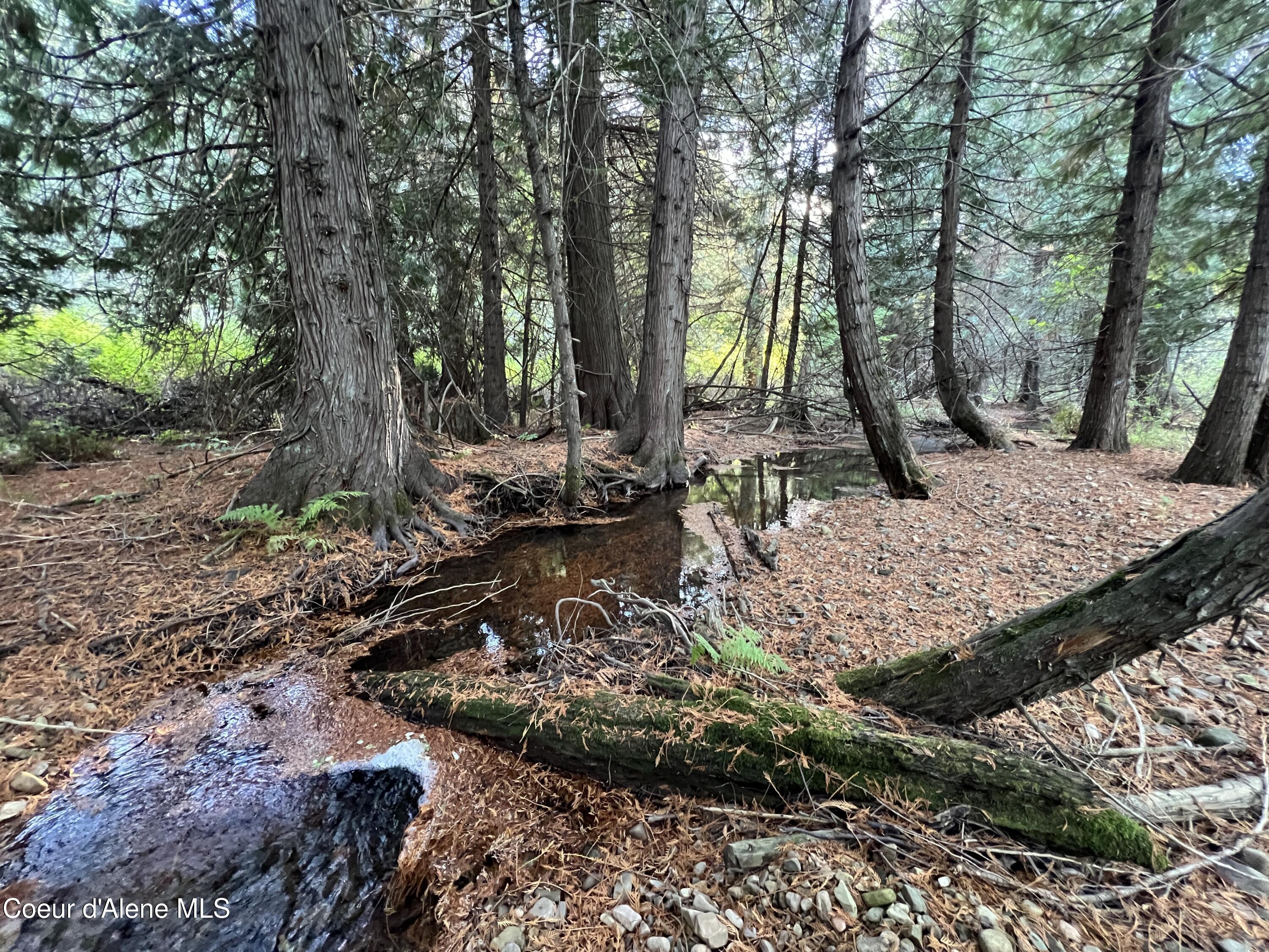 3579 Bear Creek Road Kingston, ID 83839 - Photo 10 of 13 10