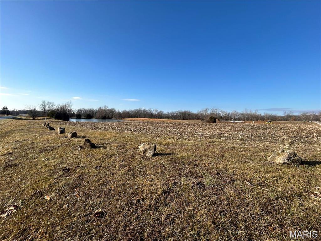 1 Murdach Estates Chester, IL 62233 - Photo 3 of 9