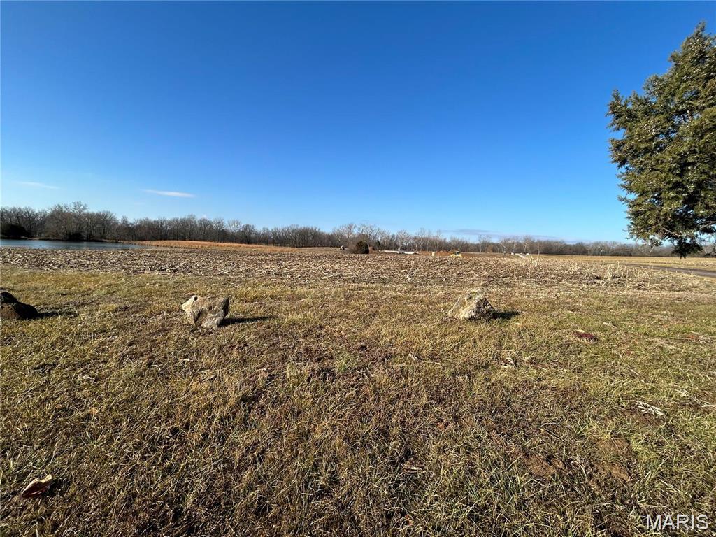 1 Murdach Estates Chester, IL 62233 - Photo 4 of 9