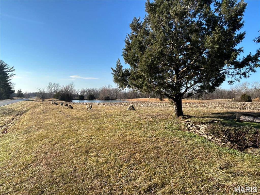 1 Murdach Estates Chester, IL 62233 - Photo 6 of 9