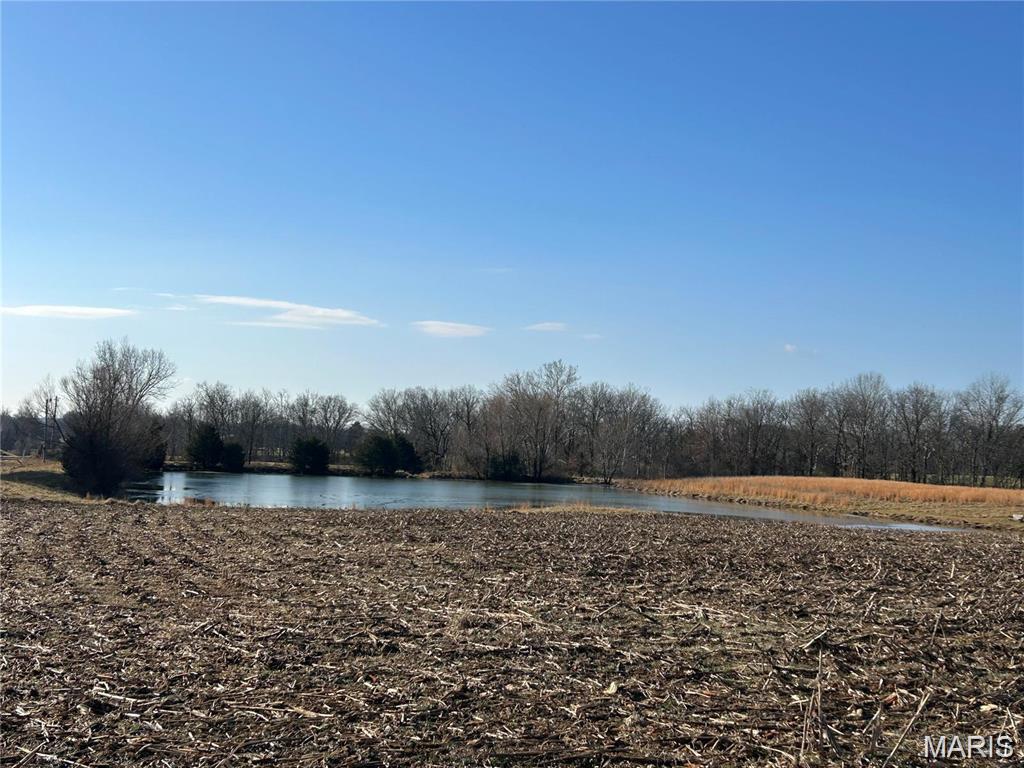 1 Murdach Estates Chester, IL 62233 - Photo 8 of 9