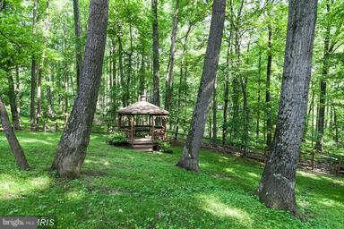 12501 Timber Grove Road Reisterstown, MD 21136 - Photo 4 of 30 View