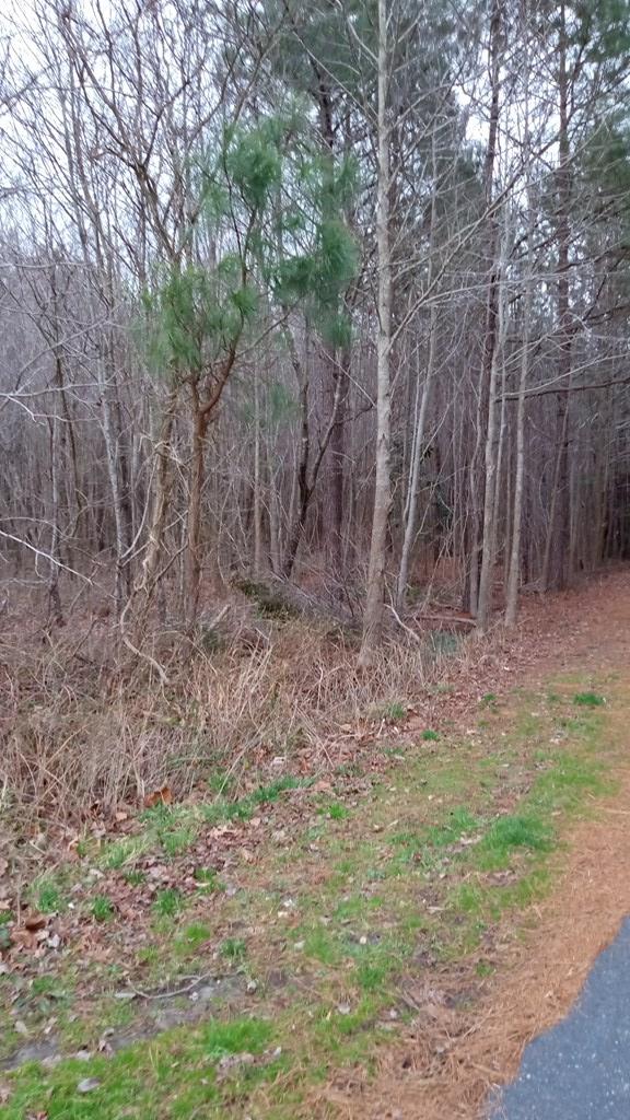 Lot A Country Club Road, Unit A Melfa, VA 23410 - Photo 4 of 4