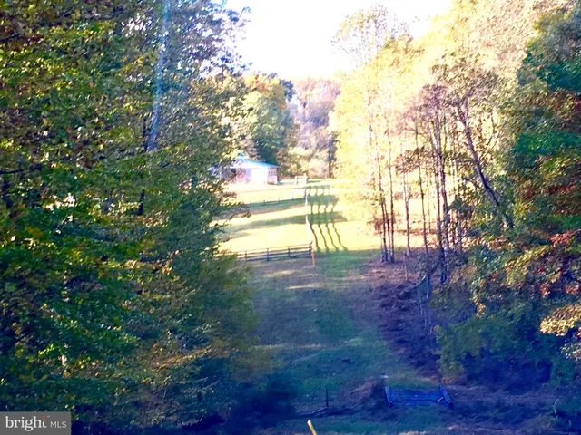 a view of an outdoor space and a yard