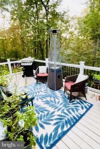 a roof deck with table and chairs and potted plants
