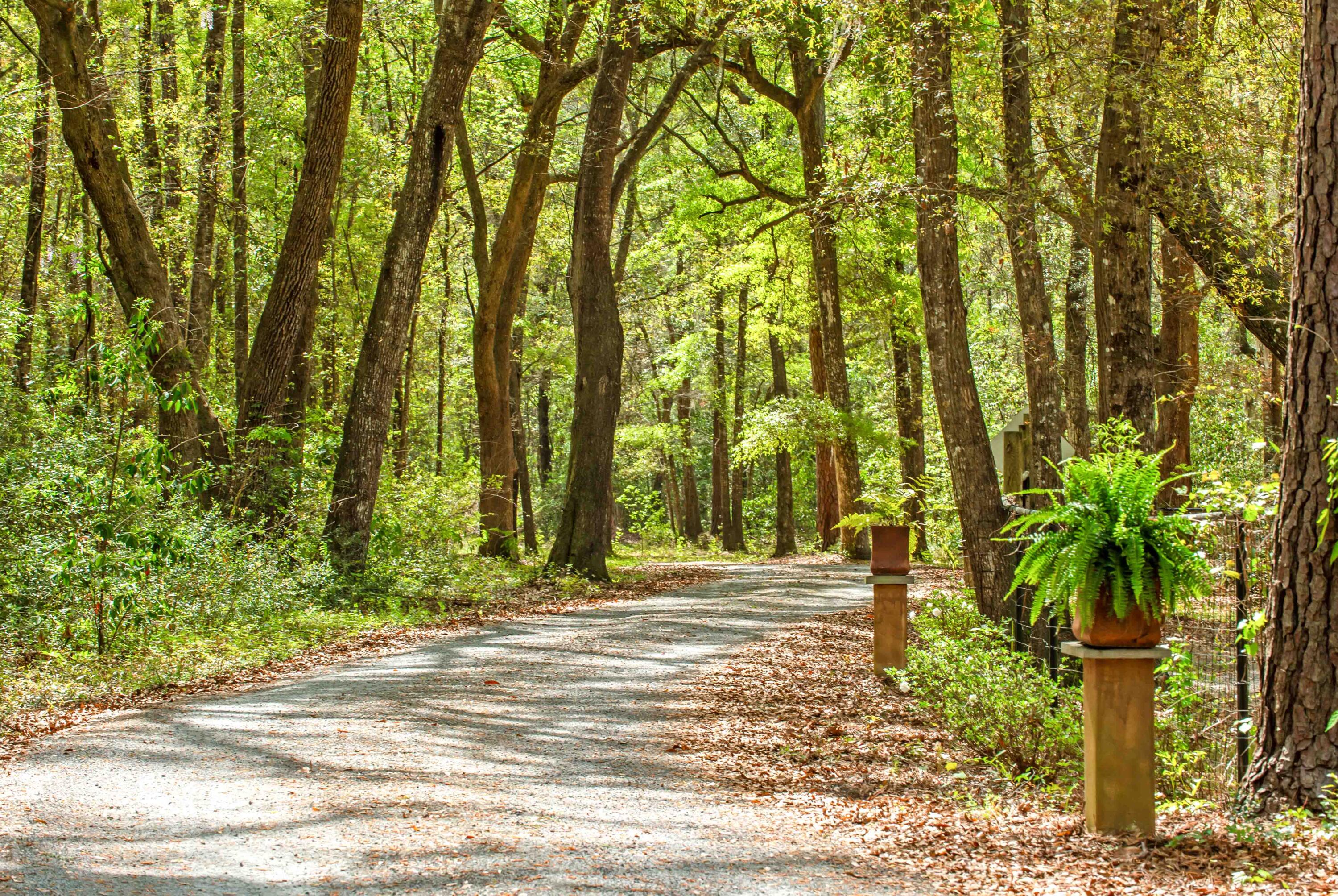 3060 Bohicket Road Johns Island, SC 29455 - Photo 95 of 108 3060 Bohicket Rd_Low Res-6
