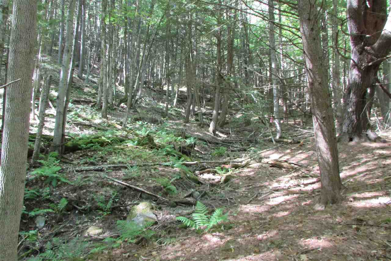 280 Hopson Road, Unit 3 Norwich, VT 05055 - Photo 3 of 12