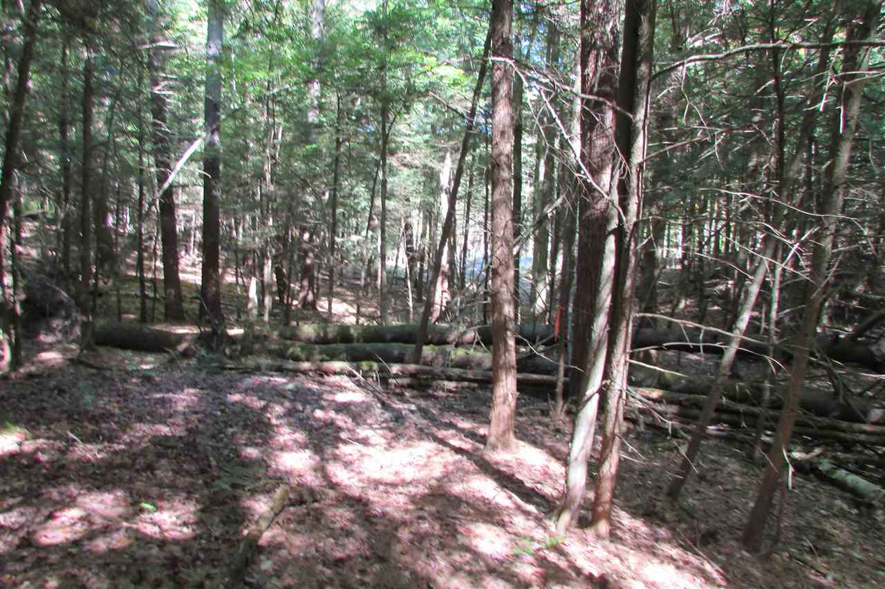 280 Hopson Road, Unit 3 Norwich, VT 05055 - Photo 5 of 12