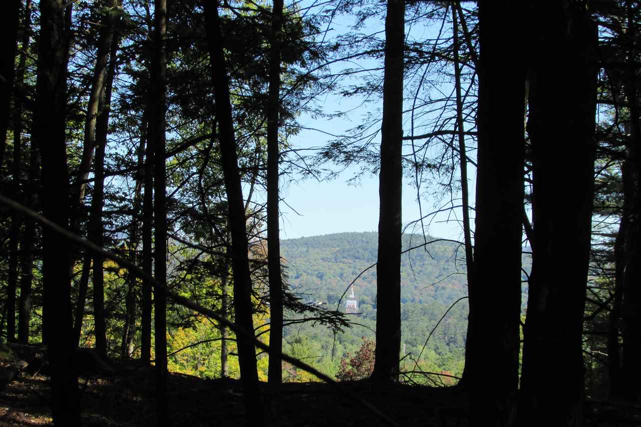 280 Hopson Road, Unit 3 Norwich, VT 05055 - Photo 10 of 12