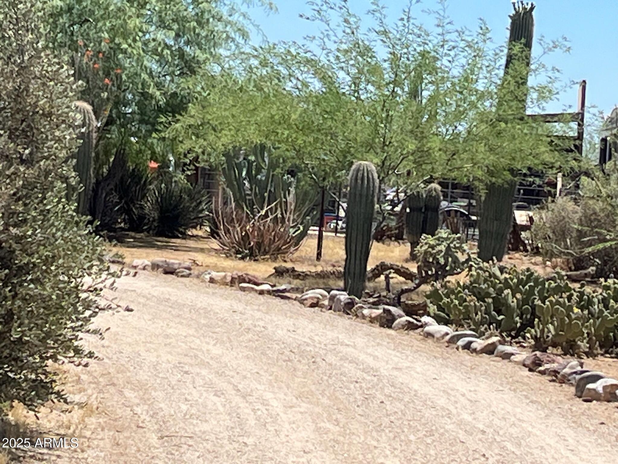 22695 East Cactus Forest Road Florence, AZ 85132 - Photo 1 of 45 a view of a bench under a large tree