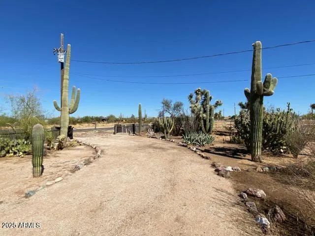 a view of a ocean with a tree in the background