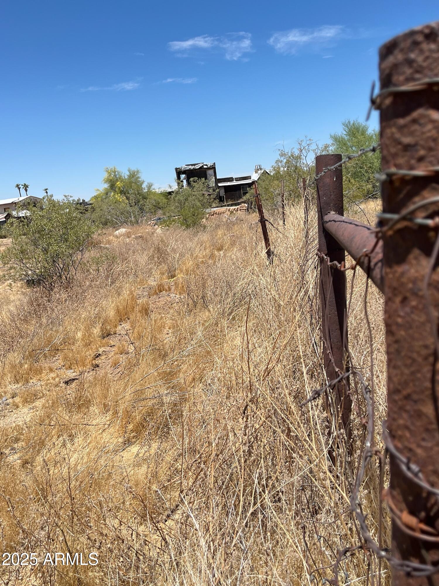 22695 East Cactus Forest Road Florence, AZ 85132 - Photo 35 of 45 a view of a yard