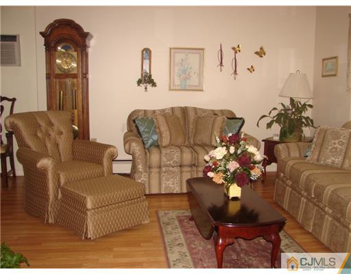 423 Monmouth Road Jackson, NJ 08527 - Photo 2 of 10 a living room with furniture flowerpot and a rug