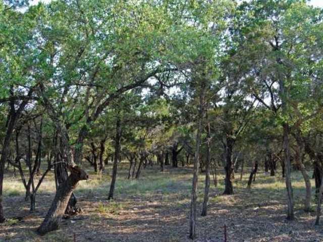 6805 Sunset Ridge Way Jonestown, TX 78645 - Photo 4 of 9