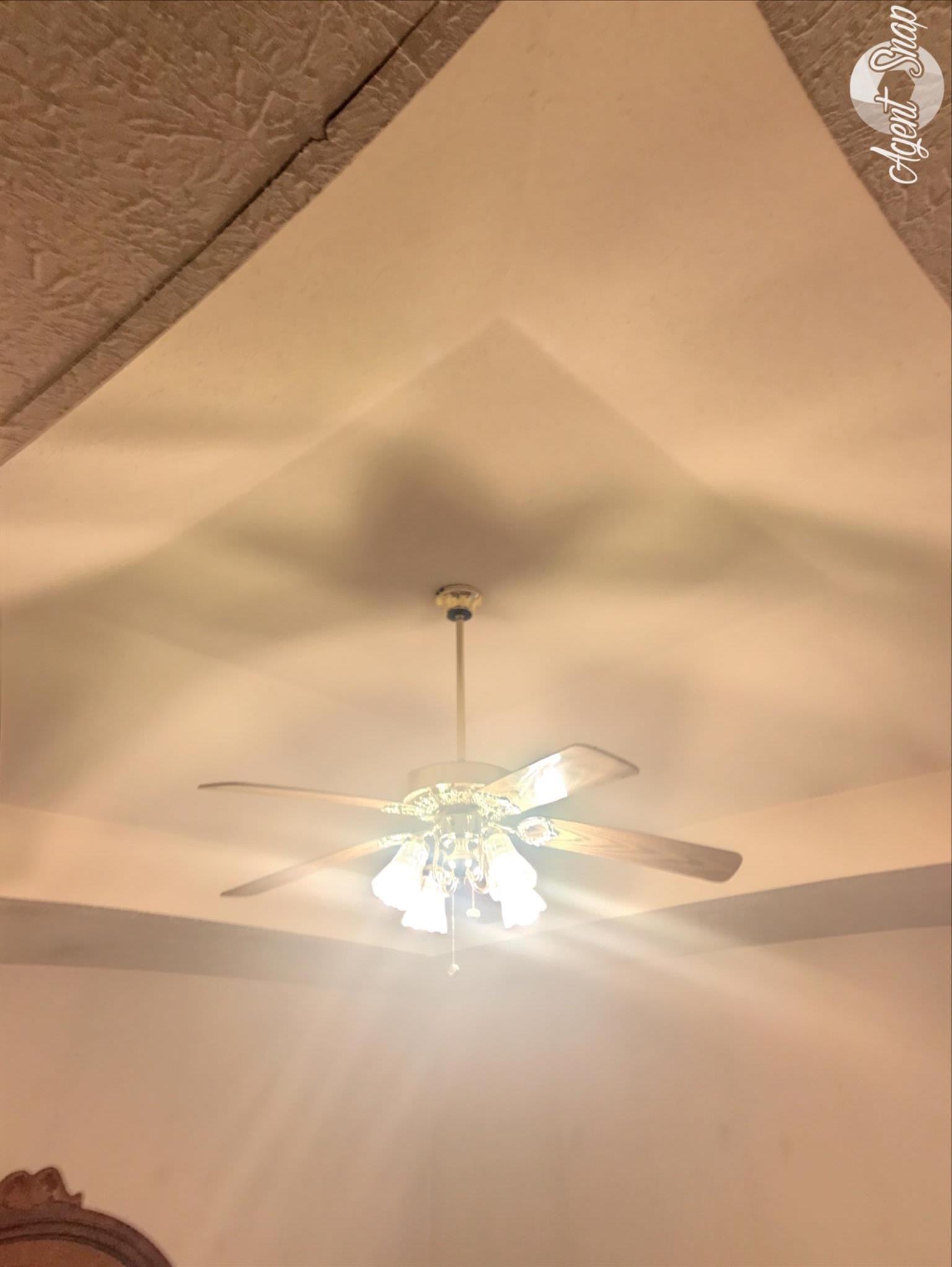 286 Collins Road Portland, TN 37148 - Photo 11 of 16 Master has trey ceiling